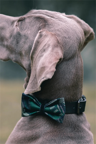 Green Navy Satin Bow Tie Geometrics
