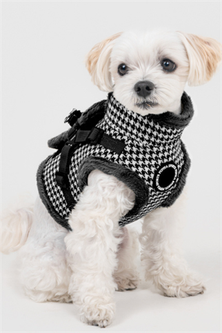 Puppia Chic Hound Harness V Köpek Göğüs Tasması Siyah