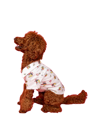 Goodboi Beyaz Poplin Kaptan Gömlek