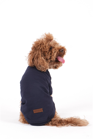 Doredog Lacivert Düz Sweatshirt