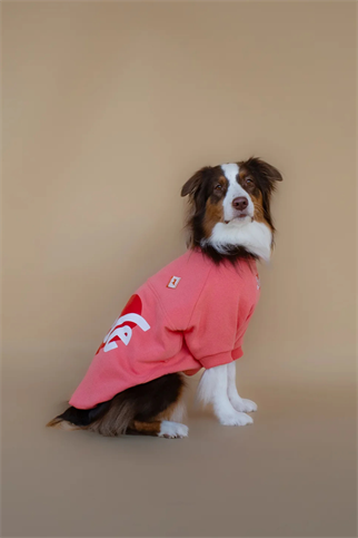 Asky&Erd Love Sweatshirt | Coral Rose