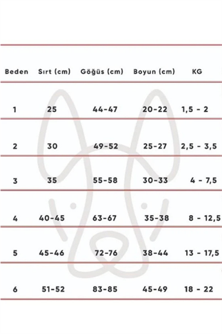 Apac.co Çiçekli Köpek Kazak Ekru 