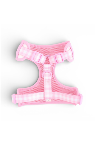 Lolidogs Köpek Göğüs Tasması ve Kayış Seti | Picnic