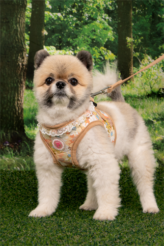 Pinkaholic New York Lilibeth Yelek Köpek Göğüs Tasması Bej