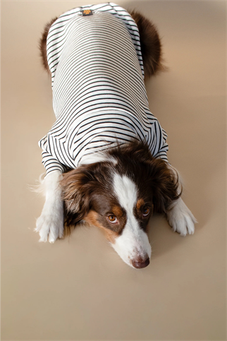 Asky&Erd Turtleneck Tshirt | Classic Stripe
