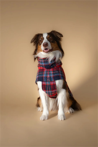 Asky&Erd Chicago Vest Crimson Tartan Plaid 