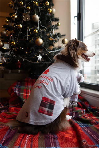 Asky And Erd Christmas Snuggles Crew Tshirt Winter Fog