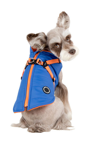 Puppia Mountaineer II Köpek Montu Mavi