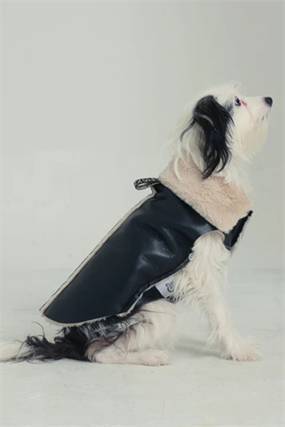 Godoist Nappa Köpek Montu - Nappa Leather Jacket