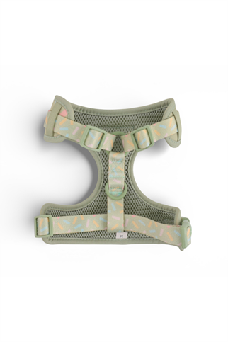  Lolidogs Köpek Göğüs Tasması ve Kayış Seti | Sprinkle