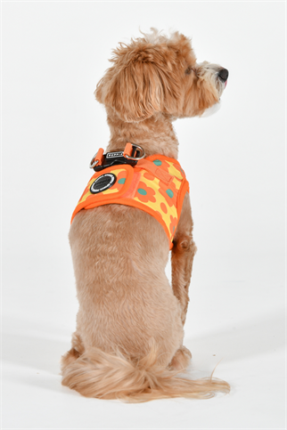 Bacopas Harness B Köpek Göğüs Tasması Turuncu  