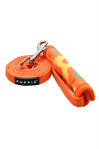 Bacopas Lead Köpek Gezdirme Kayışı Turuncu