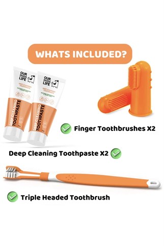 Our Dogs Life Dental Care Kit Köpek Diş Bakım Seti