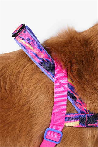 Glitch Error #500 Softer Walk Göğüs Tasması - Zee.Dog