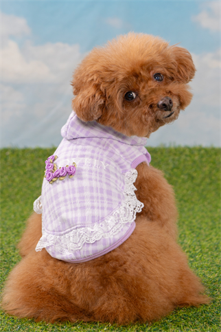 Pinkaholic New York Alyse Kapüşonlu Köpek Sweat Mor