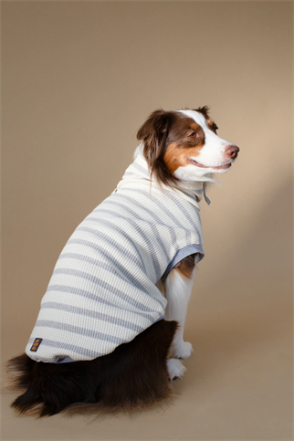 Asky&Erd Waffle Knit | Coastal Stripe