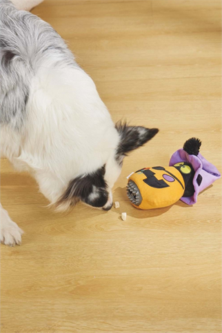 M-PETS HALLOWEEN PUMPKIN SNACK ATTACK KÖPEK OYUNCAĞI