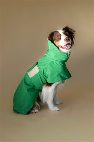Seattle Raincoat | Evergreen
