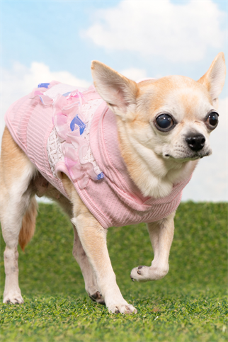 Pinkaholic New York Tiana Kapüşonlu Köpek Sweat Pembe 
