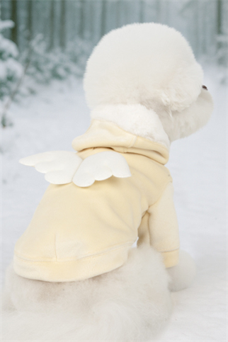 Pinkaholic Peliah Köpek Sweatshirtü Sarı 