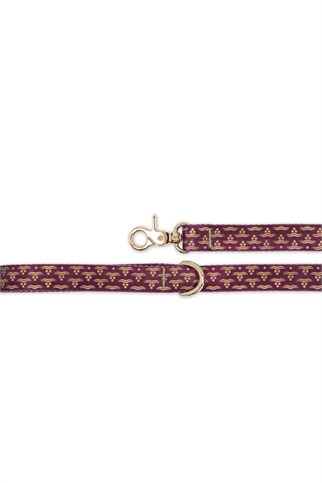 Lupinus Atelier Ductus Cerasus x Chintamani Köpek Gezdirme Kayışı