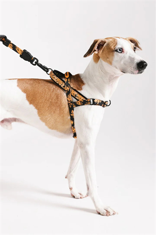 Zee.Dog Bossa Banana Softer Walk Köpek Göğüs Tasması - FARM Rio