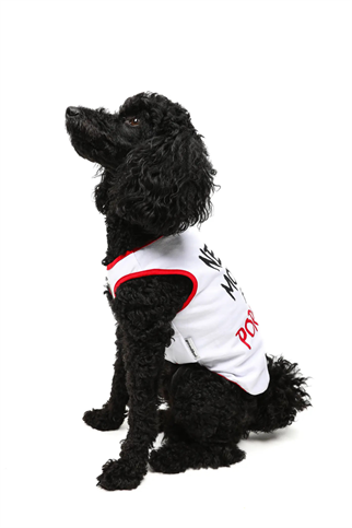 Goodboi Need Money For Porsche Atlet