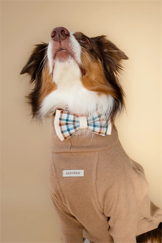 Asky&Erd Bow Tie Cedar Plaid Papyon