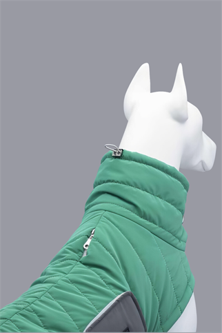 Air Puff Green Apple Köpek Montu