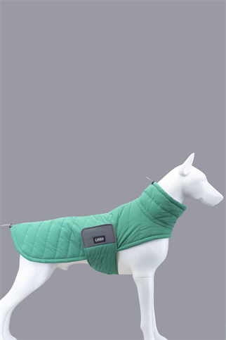 Air Puff Green Apple Köpek Montu