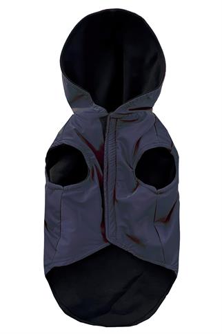 Alphadog Alpha Blue Köpek Montu