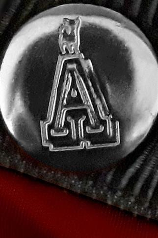 Alphadog Design Alpha Polar Köpek Yağmurluğu