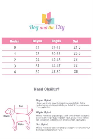 Alphadog Design Bride Köpek Elbise