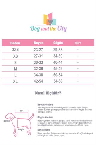 Alphadog Design Positive Köpek Göğüs Tasması