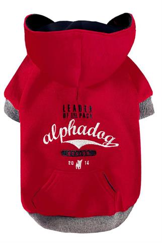 Alphadog Design Leader Köpek Sweatshirt Kırmızı Gri