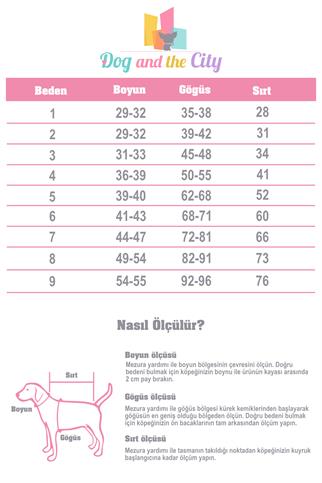 Alphadog Design Original Köpek Yağmurluğu Mavi