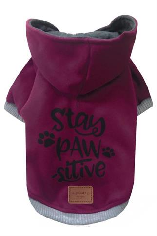 Alphadog Design Stay Pawstivie Köpek Sweatshirt Bordo