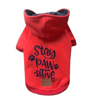Alphadog Design Stay Pawstivie Köpek Sweatshirt Kırmızı