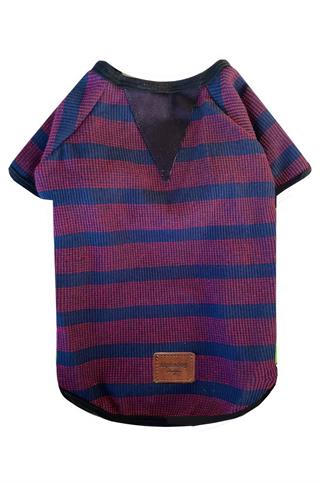 Alphadog Fall Lines Dog T -Shirt