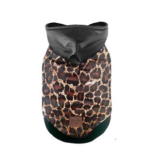 Alphadog Leopard Köpek Montu