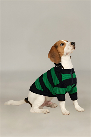 Apac.co Dalton Lacivert Yeşil Çizgili Köpek Kazağı