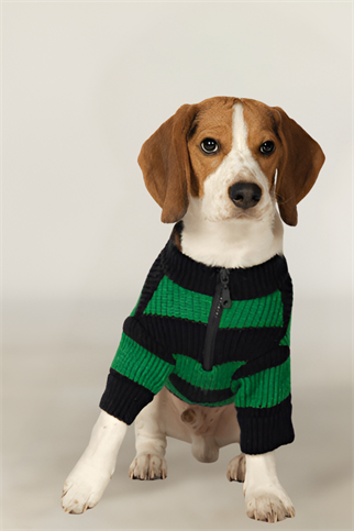 Apac.co Dalton Lacivert Yeşil Çizgili Köpek Kazağı