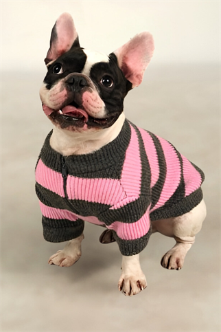 Apac.co Dalton Pembe Gri Çizgili Köpek Kazağı