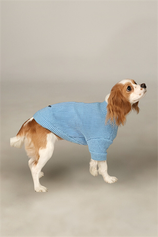 Apac.co Basic Mavi Triko Köpek Kazağı