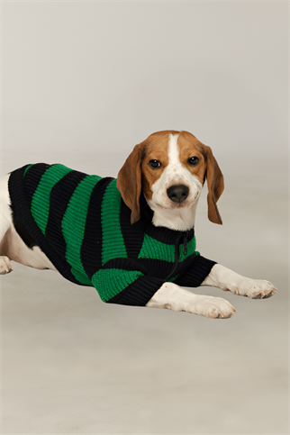 Apac.co Dalton Lacivert Yeşil Çizgili Köpek Kazağı