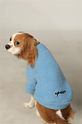 Apac.co Basic Mavi Triko Köpek Kazağı
