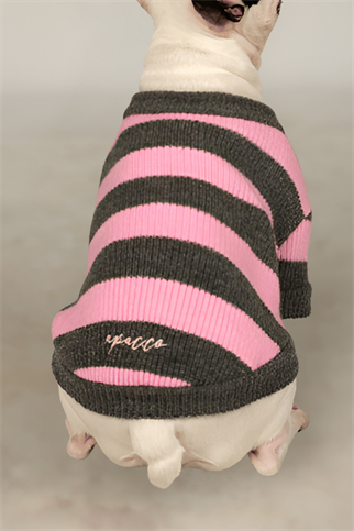 Apac.co Dalton Pembe Gri Çizgili Köpek Kazağı