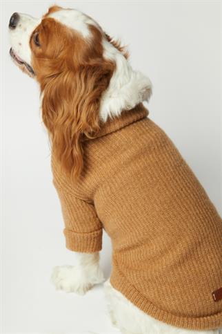 Apac.co Basic Bej Triko Köpek Kazağı