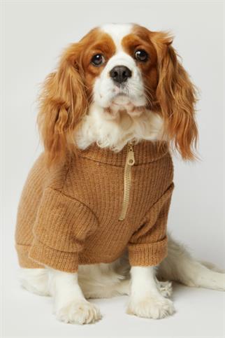 Apac.co Basic Bej Triko Köpek Kazağı