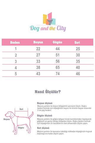 Apac.co Dalton Pembe Gri Çizgili Köpek Kazağı